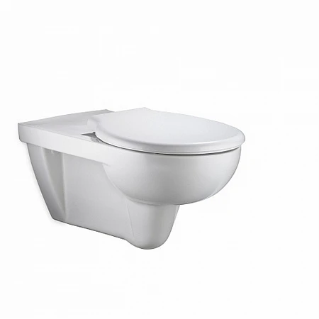 Крышка-сиденье для унитаза Geberit Renova 572850000