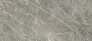 Керамогранит Rex Ceramiche Etoile de Rex ETOILE GRIS MAT RET 60х120 761768