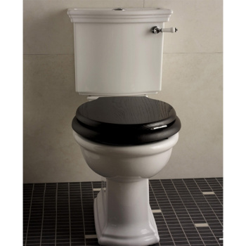 Бачок унитаза моноблока Devon&Devon New Etoile белый IBCZNET