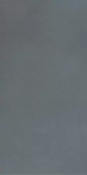 Керамогранит Casalgrande Padana R-Evolution Dark Grey 36SC R10 60х120