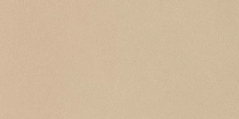 Керамогранит Imola Ceramica Parade PRTU 36A RM 30х60