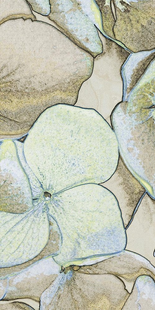 Керамогранит Villeroy&Boch K2730CB650010 Декор Rockyart лаймлайт 60х120