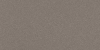 Керамогранит Imola Ceramica Parade PRTU 36G RM 30х60