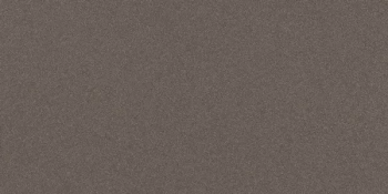 Керамогранит Imola Ceramica Parade PRTU 36DG RM 30х60