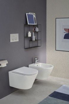 Подвесное биде Jacob Delafon Rodin+ EMJ0002-00, белый белый