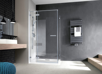 Душевая перегородка Radaway Euphoria S1 120 383054-01