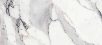 Керамогранит Rex Ceramiche Les Origines de Rex Les Origines Argent Glossy RT 80х180 770438