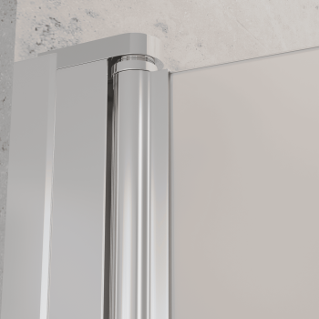 Душевая дверь RGW Dolphin распашная 90 см 54930309-101