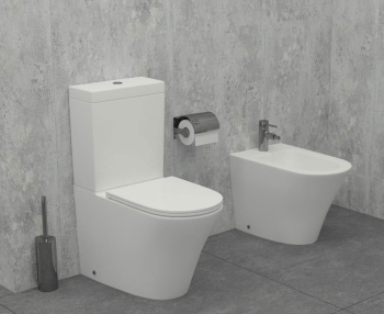 Чаша унитаза-компакта Jacob Delafon Rodin+ UJAB102-00 белый