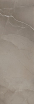 Плитка PASSION R90 TAUPE 30*90