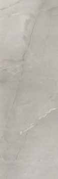 Плитка PASSION R90 GREY 30*90