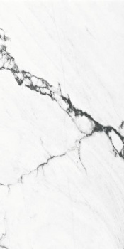 Керамогранит Calacatta Black Polished Rect 60x120