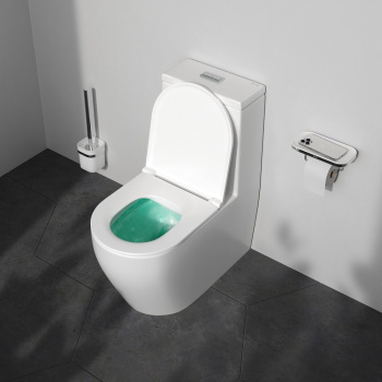 Унитаз-моноблок AM.PM Func C8F8900SC