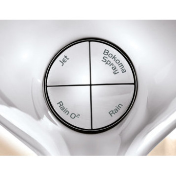 Душевой гарнитур Grohe Power and Soul 27733000