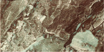 Плитка Danae Marron 25x50