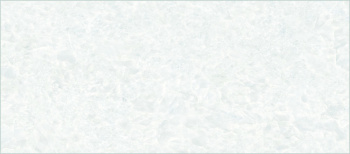 Керамогранит Emil Ceramica Tele Di Marmo Revolution Thassos Lappato 60x120