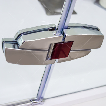 Душевая дверь RGW Safari SA-01 распашная 190 см 02030119-19