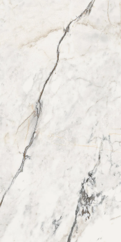 Керамогранит AE PAO6 12 RM 60x120