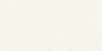 Керамогранит матовый Alma Ceramica Berlin 600x1200x8.5 GFU60120BLN04R