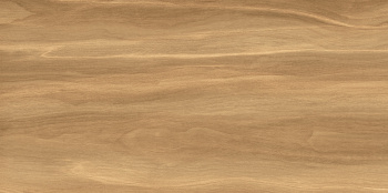 Плитка настенная AltaCera Portland Dark 249x500 WT9POT21