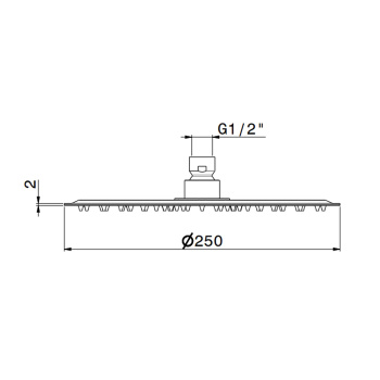 Верхний душ Newform X-steel 316 d250, без кронштейна, G1/2, PVD Brushed pale gold 29392X.59.098