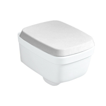 Крышка сиденье для унитаза Simas Evolution EVO003bi/cr белый