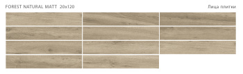 Плитка STAROWOOD Forest Natural 20x120 Matt м2