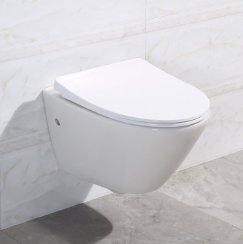 Крышка-сиденье Duravit Darling New 0069890000 с микролифтом петли хром