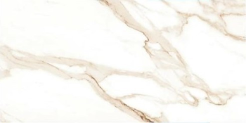 Керамогранит AB 1026G Ricato Brown gloss 1200x600