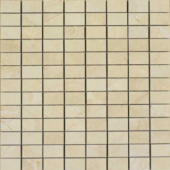 Мозаика EvolutionMarble Mosaico MK0E 30*30