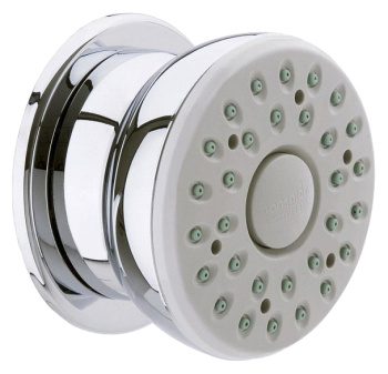 Душевая форсунка Hansgrohe Bodyvette 28466000 шарнирная