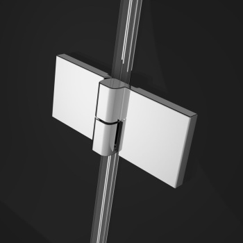 Душевая дверь Radaway Essenza Pro DWJ 100 Right 10099100-01-01R правая