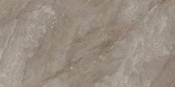 Керамогранит Neodom Marble Orobico Brown Polished 60x120 см N20483