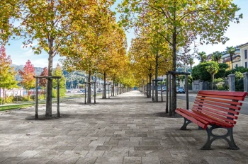 Керамогранит Imola Ceramica Trail18 TCOT TOS18 23 20х30