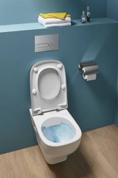 Подвесной унитаз Jacob Delafon Struktura EDF102-00