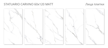 Плитка Staro Silk 60х120 Statuario Carvino 60x120 Matt м2