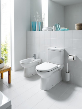 Чаша унитаза-компакта Laufen Pro 8.2495.8.000.000.1