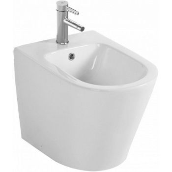 Напольное биде Jacob Delafon Rodin+ EBJ0002-00, белый белый