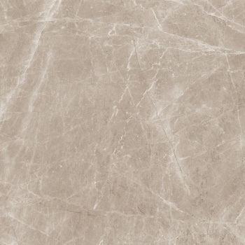 Керамогранит Neodom Sale Frappuccino Taupe Polished 120x120 см N20462