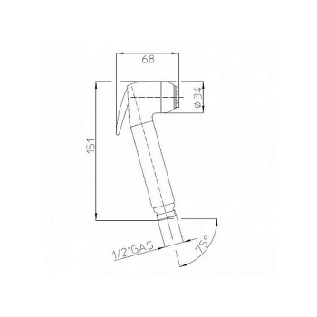 Bossini Sini Brass Душевые лейки с клапаном подачи, цвет: хром B00661.030