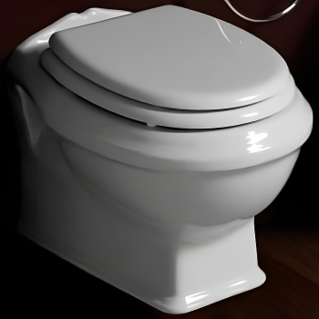 Крышка сиденье для унитаза Simas Arcade AR 007 Oro с микролифтом белый