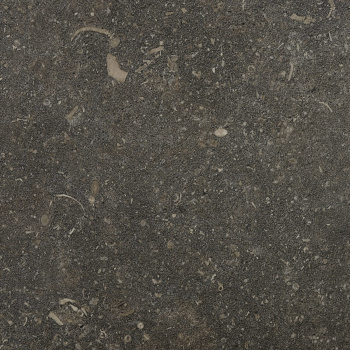 Керамогранит Living Ceramics Oda Classic Soft 59.8x119.8 см LV12143