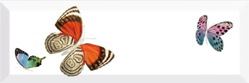 Плитка Decor Farfalla 3 10*30