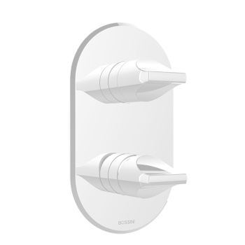 Bossini Apice Смеситель для душа, встраиваемый, однорычажный, с переключателем на 2-5 положений,  цв