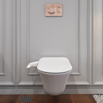 Подвесной унитаз Jacob Delafon Vive E28078RU-0 белый