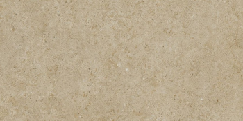 Керамическая плитка Living Ceramics Bera&Beren Biscuit Ductile Soft 60x120 см LV10086