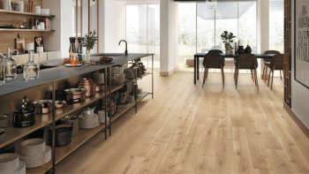 Керамогранит STN Ceramica Blaze Haya Matt Rect 23x120 см N30031