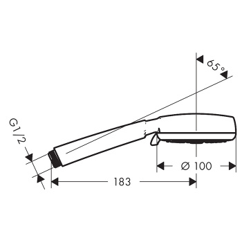 HG Crometta Vario Ручной душ 100 4jet (Rain, обычная, Shampoo, массажная), EcoSmart, цвет: белый/хром