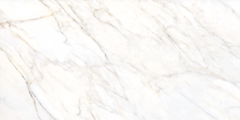 Керамогранит 19507 MUSEUM GIOIA SILVER/60X120/EP 60х120