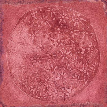 Плитка Carlo Granate-B 20x20